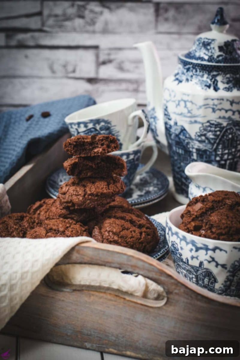 Beautiful coffee chocolate chip cookies, on blue white porcelain.