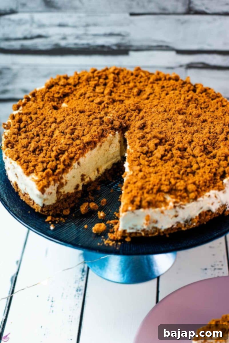 Gorgeous no bake Biscoff cheesecake on blue cake stand with a slice cut out. Placed on white wooden ground next to two pink plates.