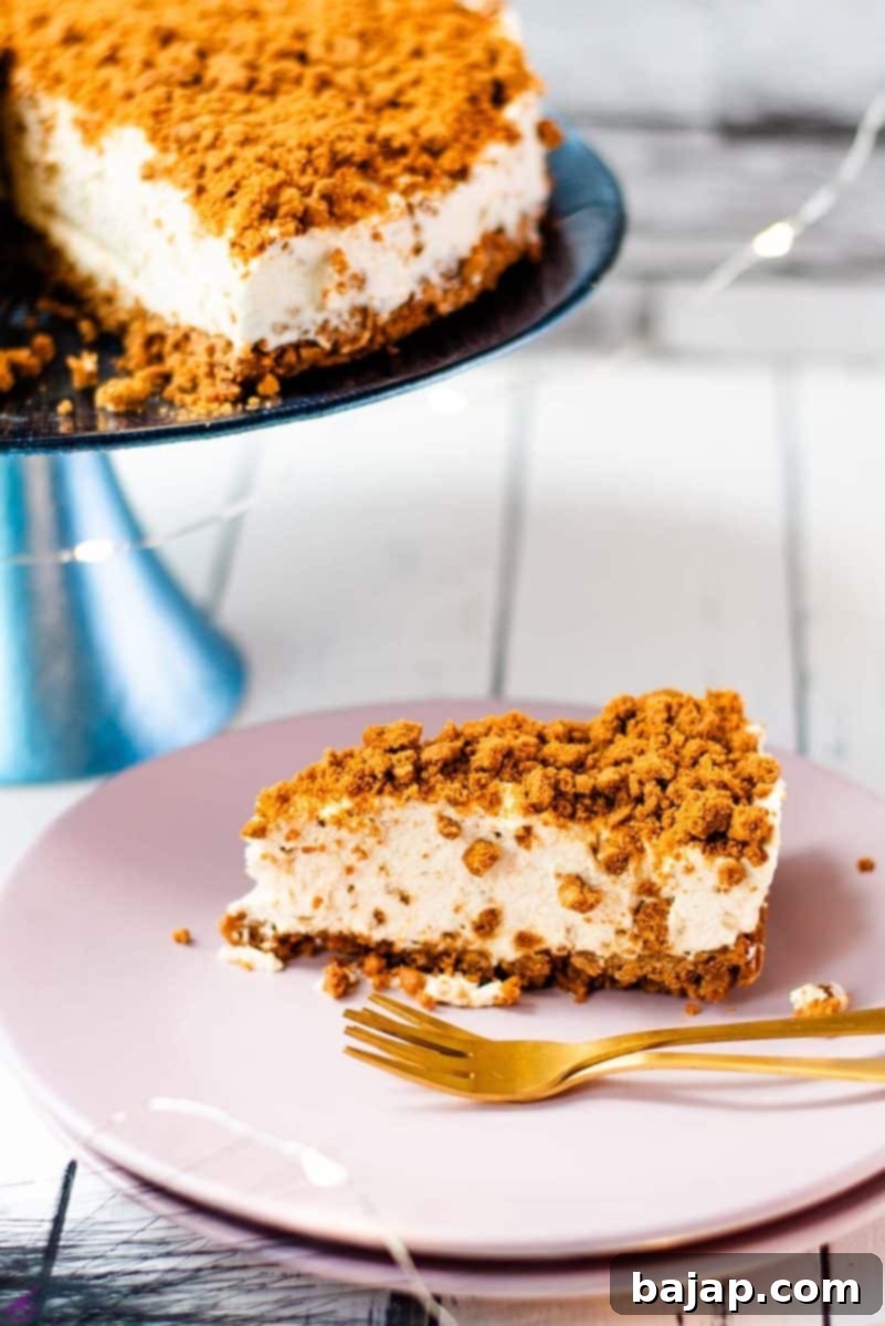 Biscoff Cheesecake Magic Without the Oven 9 Gorgeous no bake Biscoff cheesecake slice on pink plate next to two golden forks.