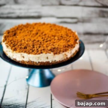 Biscoff Cheesecake Magic Without the Oven 10 Gorgeous no bake Biscoff cheesecake on blue cake stand. Placed on white wooden ground next to two pink plates.