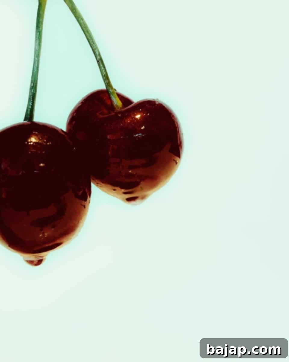 A close-up shot of fresh marasca cherries, the sour fruit used to create authentic maraschino liqueur.
