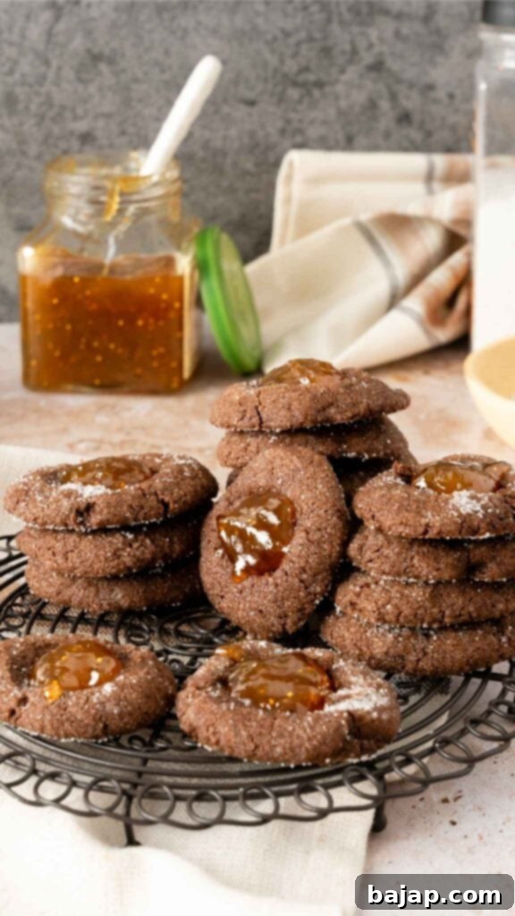 Rich chocolate thumbprint cookies with a luscious fig preserves filling, dusted lightly with sugar. These cookies offer a delightful contrast of chocolate and fruit flavors.