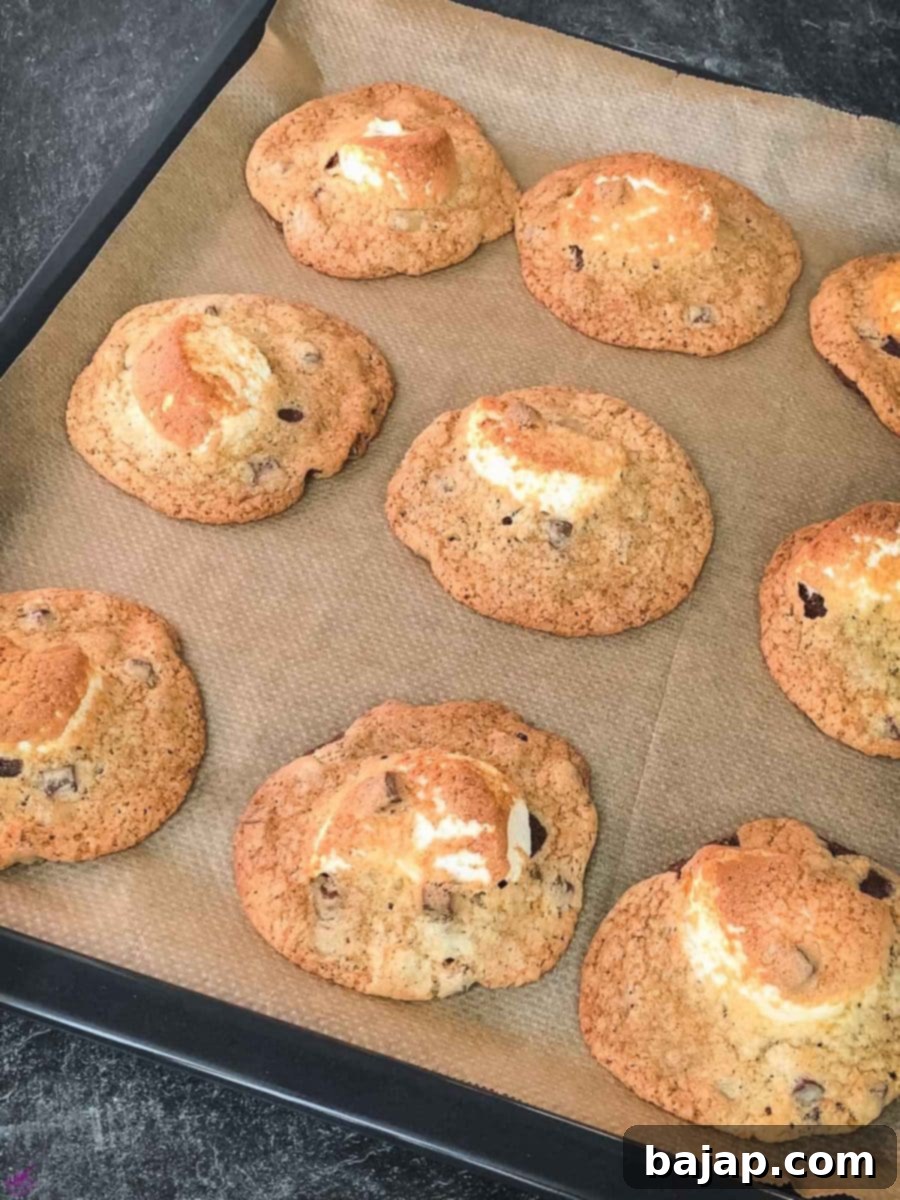 Chocolate Chip Marshmallow Cookies with the white cookie batter on top.