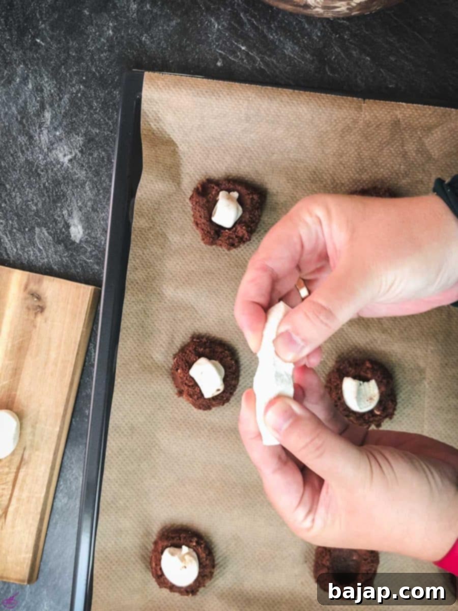 Cut the marshmallow in small pieces if you have giant ones like I had.