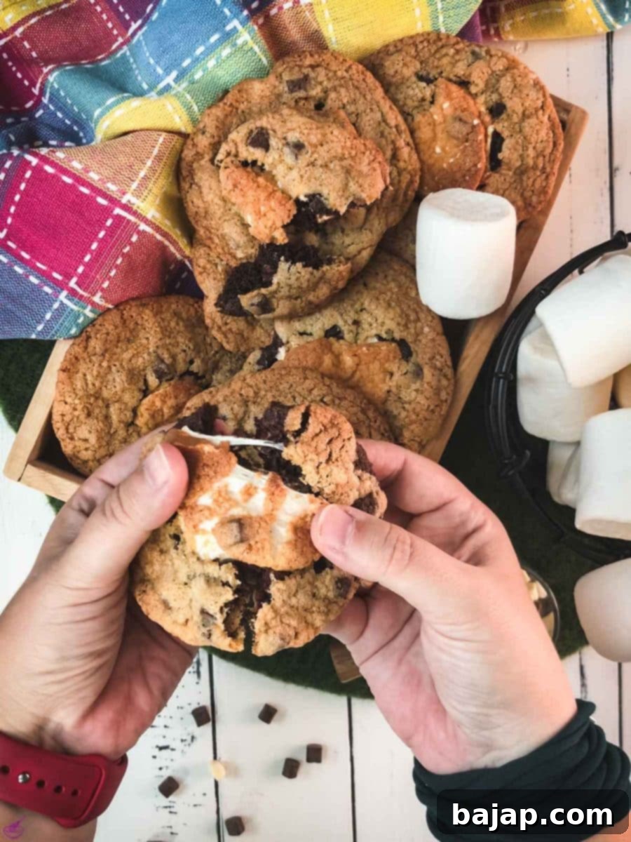 It's wonderful how the marshmallow pulls apart when you pull the cookie apart with your hands.