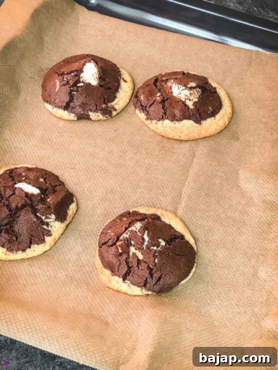Chocolate Chip Marshmallow Cookies with the dark cookie batter on top.