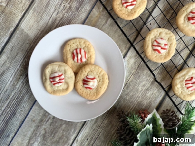 Holiday peppermint sugar cookie recipe