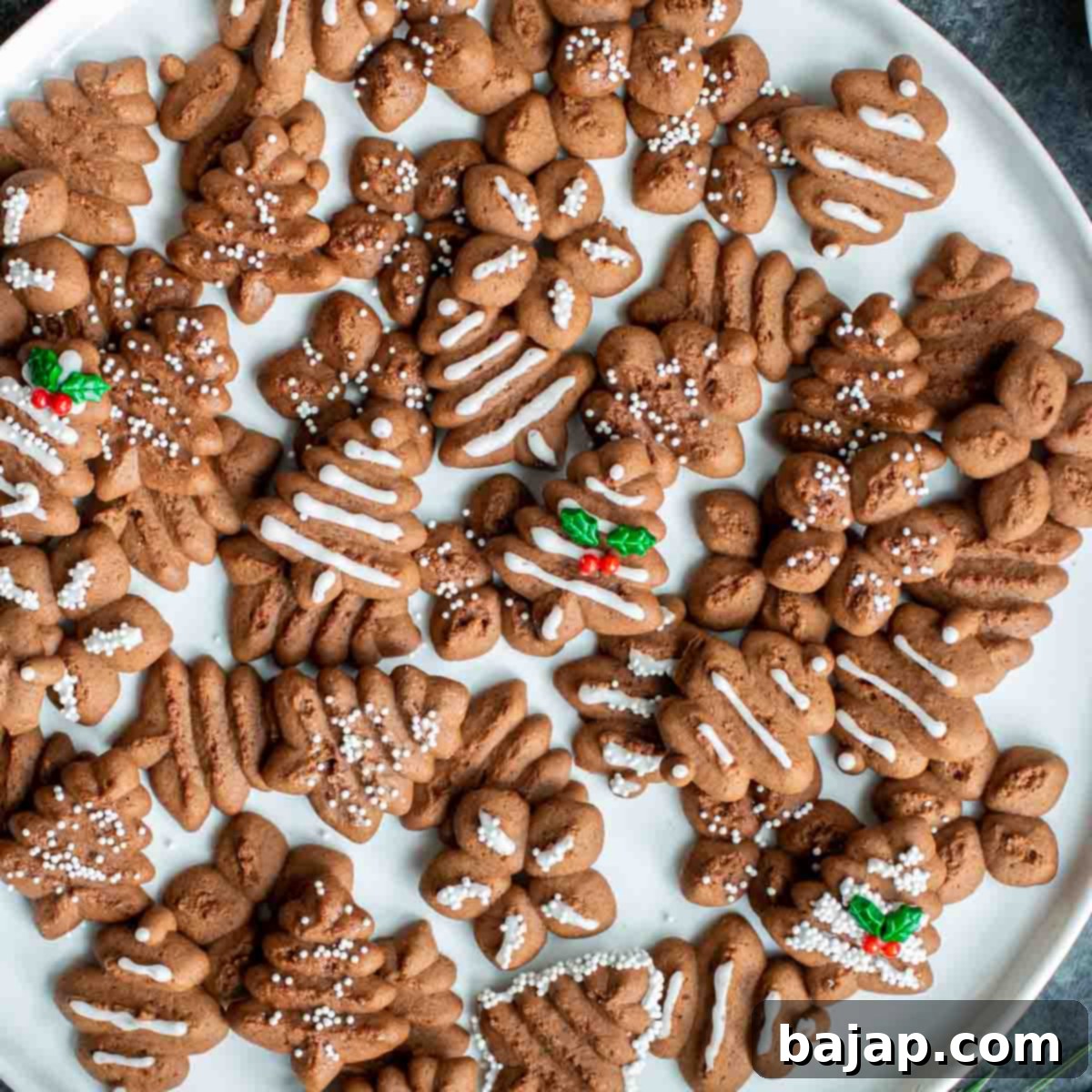 Chocolate Spritz Cookies decorated with royal icing