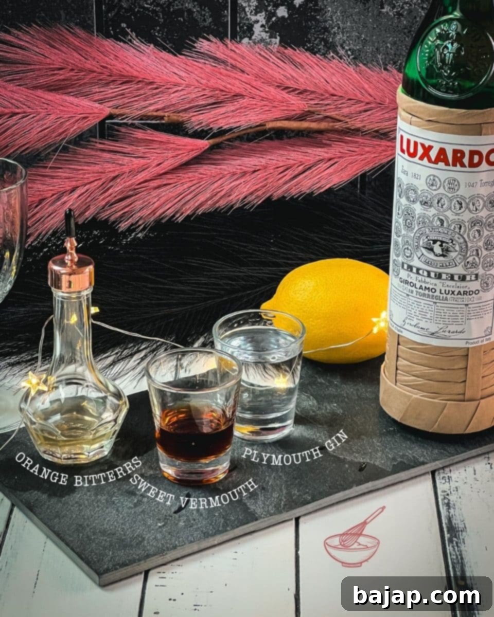 A curated selection of ingredients for making a classic Martinez cocktail: orange bitters, rich sweet vermouth, premium gin, and bright maraschino liqueur.