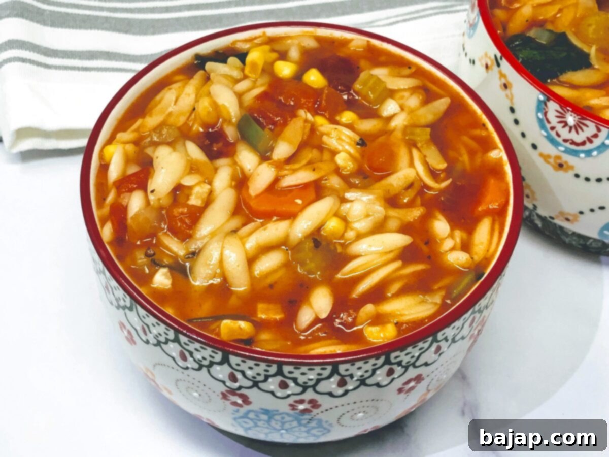 Instant Pot Vegan Orzo Soup - CulinaryShades