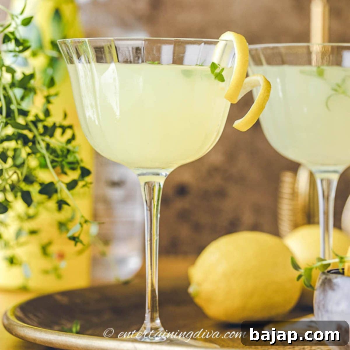 Celebrate National Cocktail Day March 24th 42 img 3024688 41 1