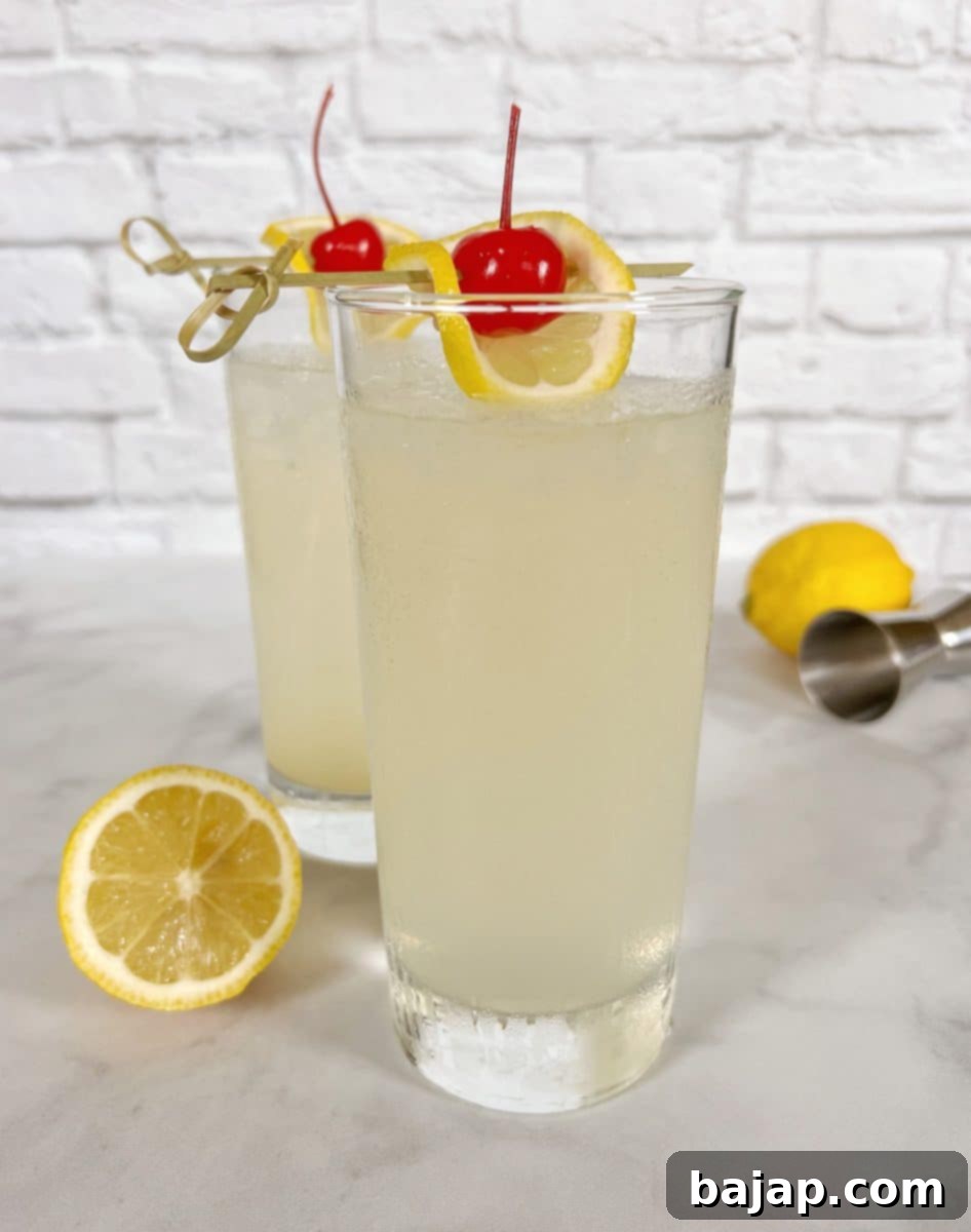 Celebrate National Cocktail Day March 24th 8 img 3024688 7 1