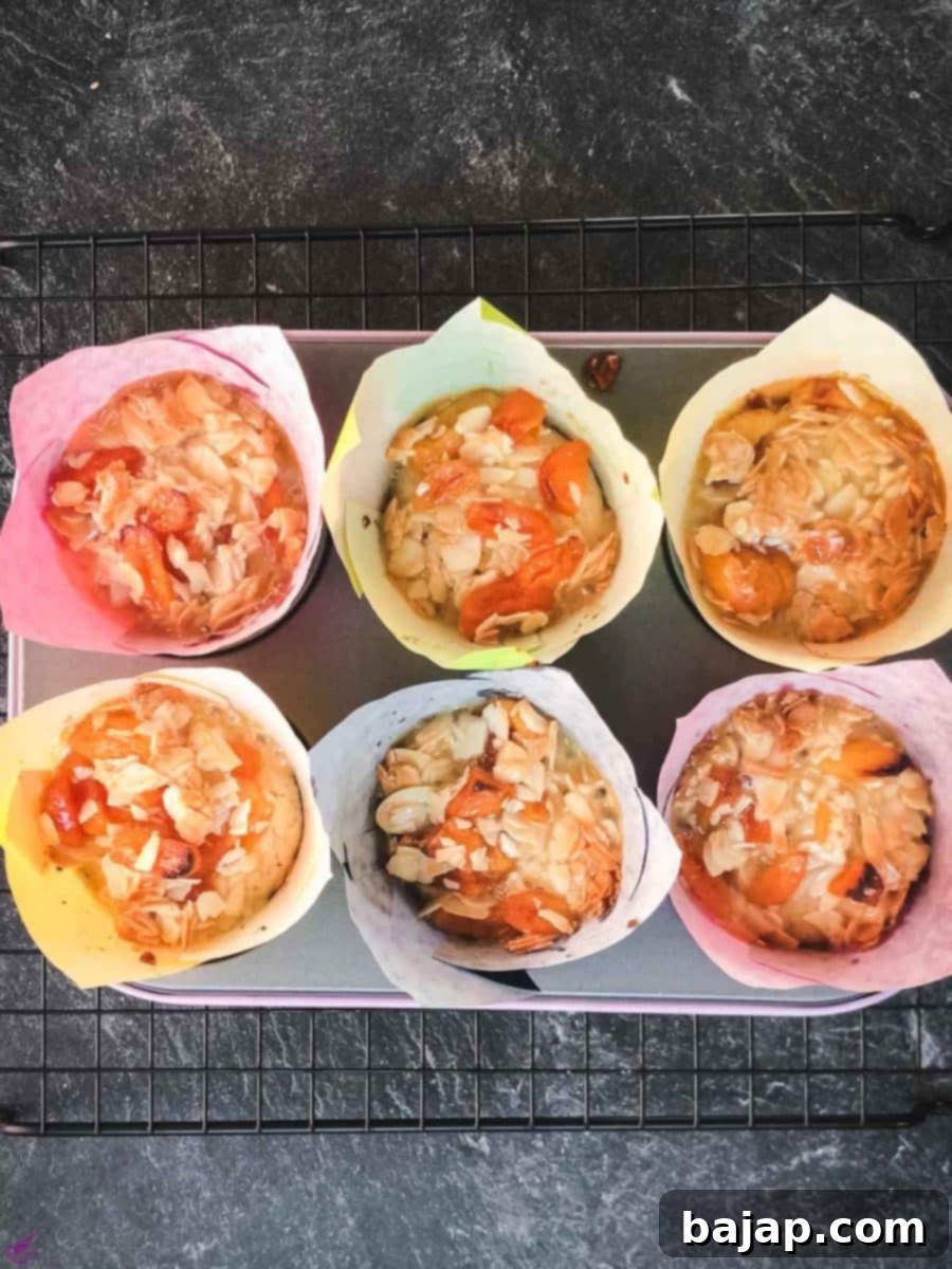 Easy Small Batch Dried Apricot Muffins 11 Delicious dried apricot breakfast muffins, with homemade caramel topping, in muffin rack.