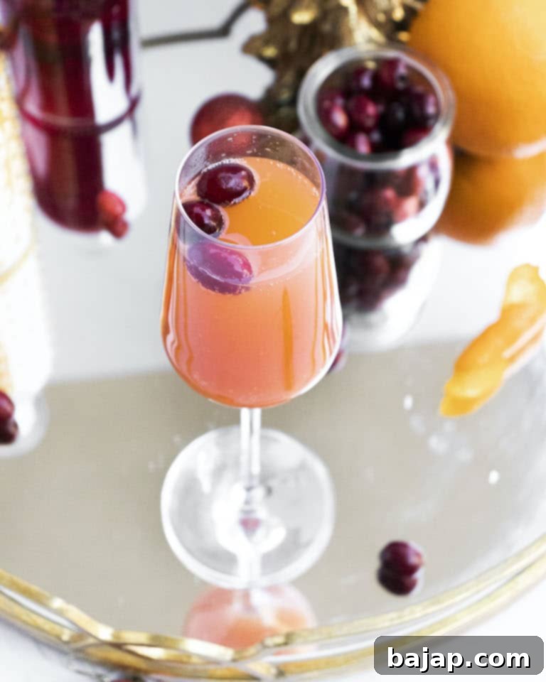 A colorful, bubbly, 3-ingredient Cranberry Mimosa Cocktail, perfect for adding festive cheer to any holiday event.