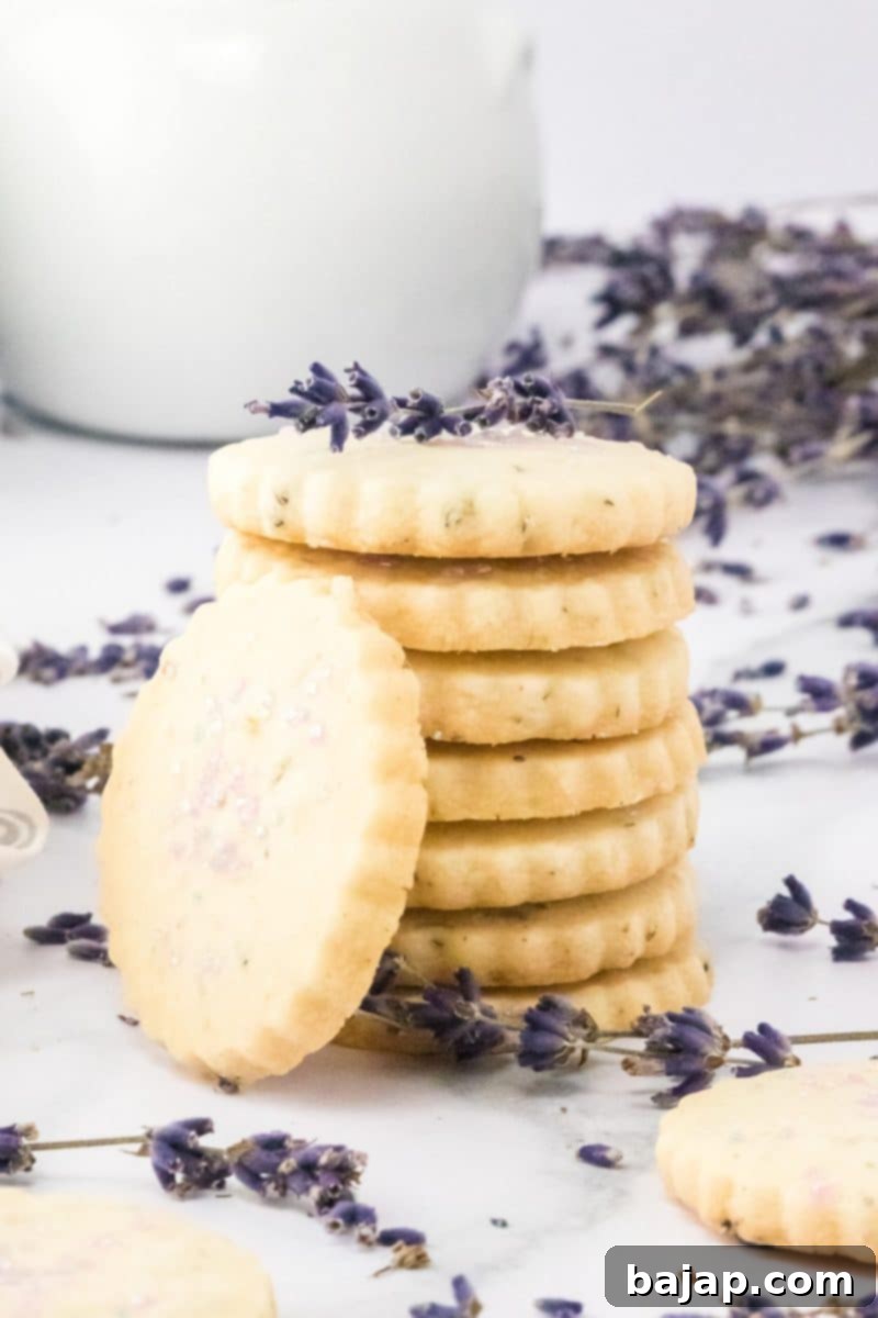 Fabulous Lavender Shortbread Cookies, buttery, crumbly, and bursting with velvety lavender flavor.