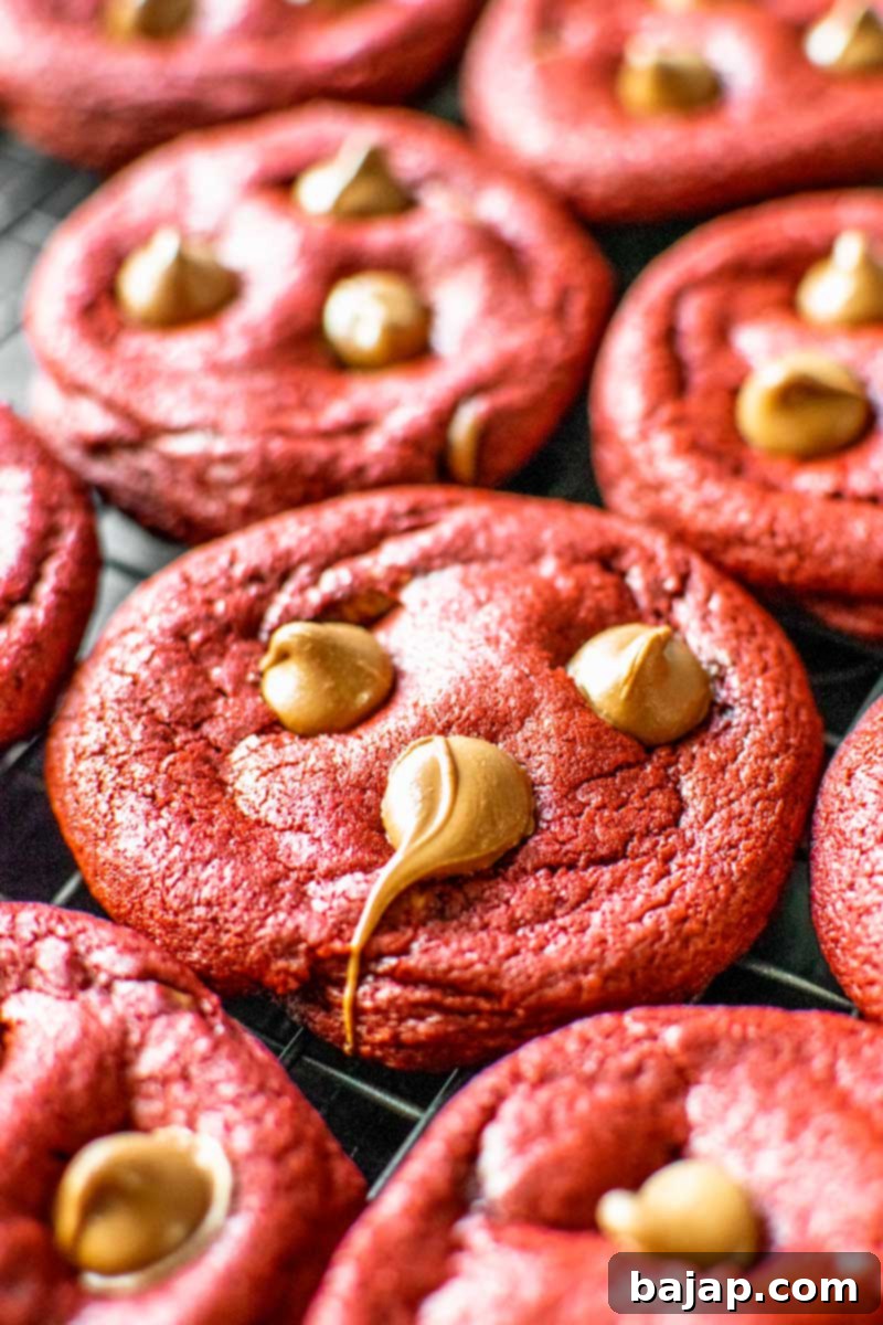 Soft and chewy Red Velvet Chocolate Chip Cookies laced with milk chocolate chips, perfect for festive occasions.