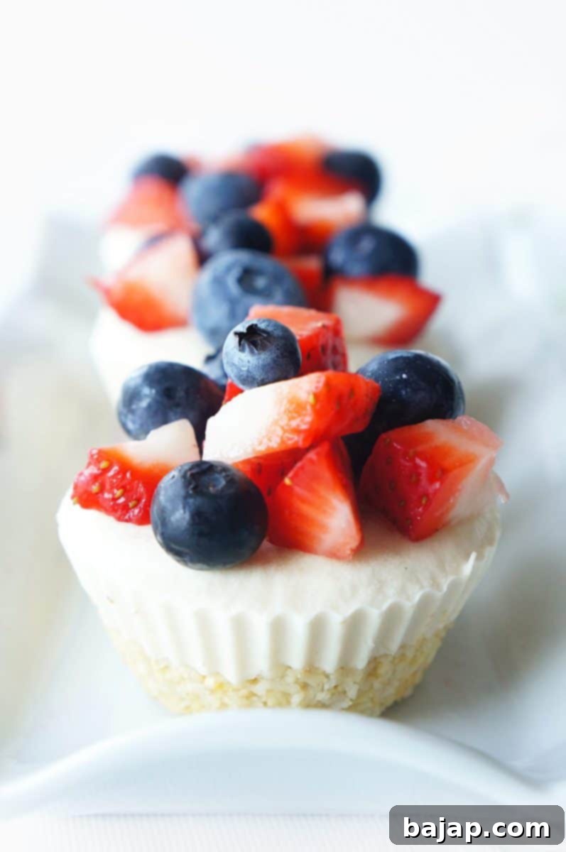 Fourth of July no-bake desserts roundup: Vegan Lemon Berry Cheesecake Cups