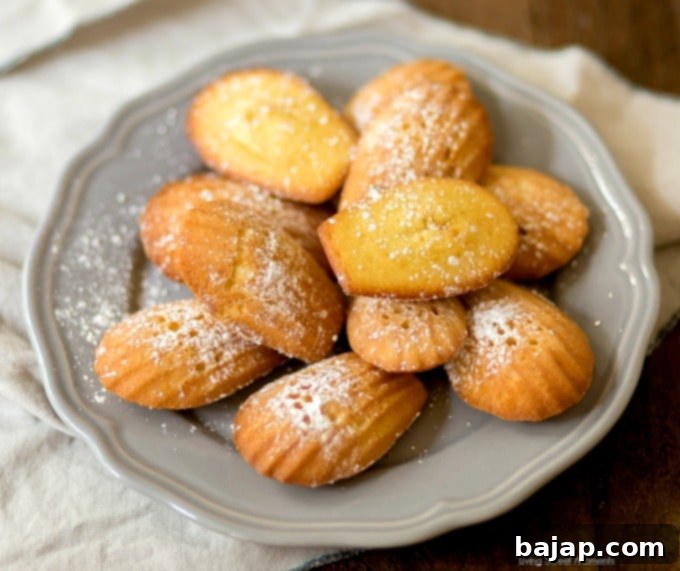 Delicate classic lemon madeleines cookies, shell-shaped.