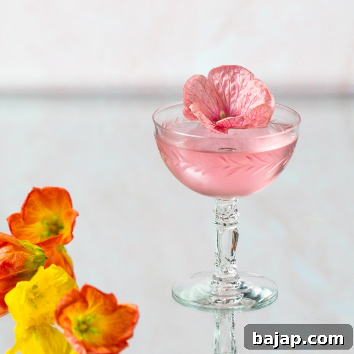 Pink Hibiscus Martini with a floral garnish