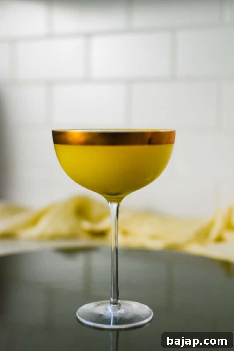 36 Irresistible Martini Recipes for National Martini Day on June 19th!