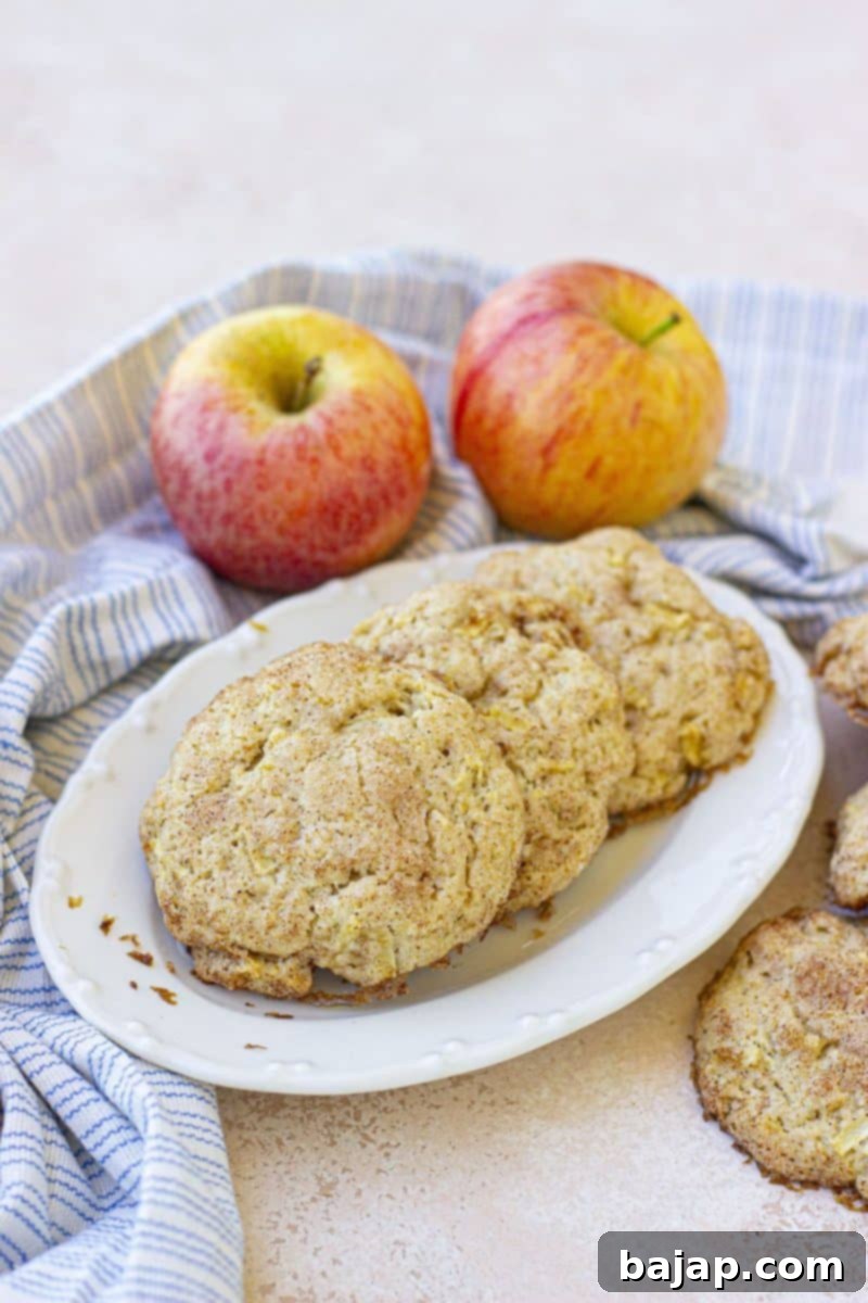 Warm apple sugar cookies dusted with cinnamon, reminiscent of apple pie.