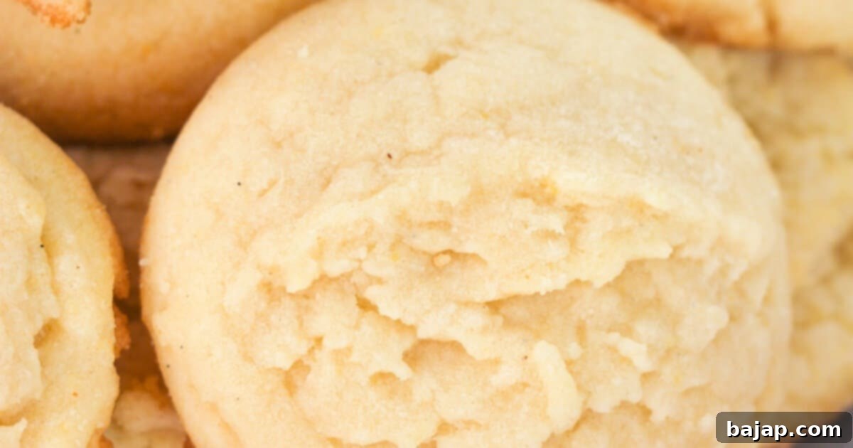 Fluffy, melt-in-your-mouth Amish sugar cookies, scooped and baked to perfection.