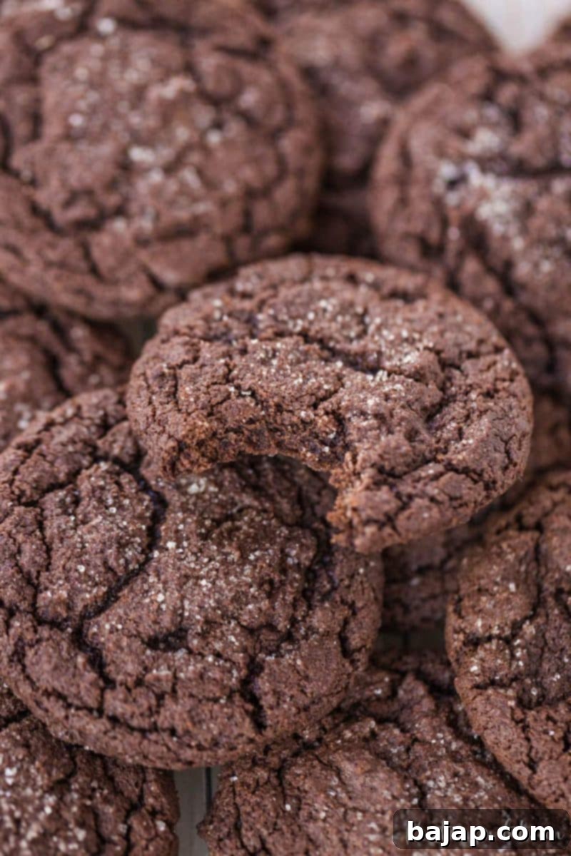 Chocolate Sugar Cookies