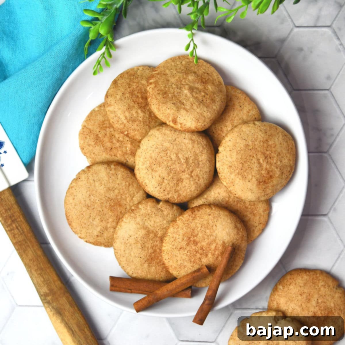 Classic old-fashioned cinnamon sugar cookies, simply special and comforting.