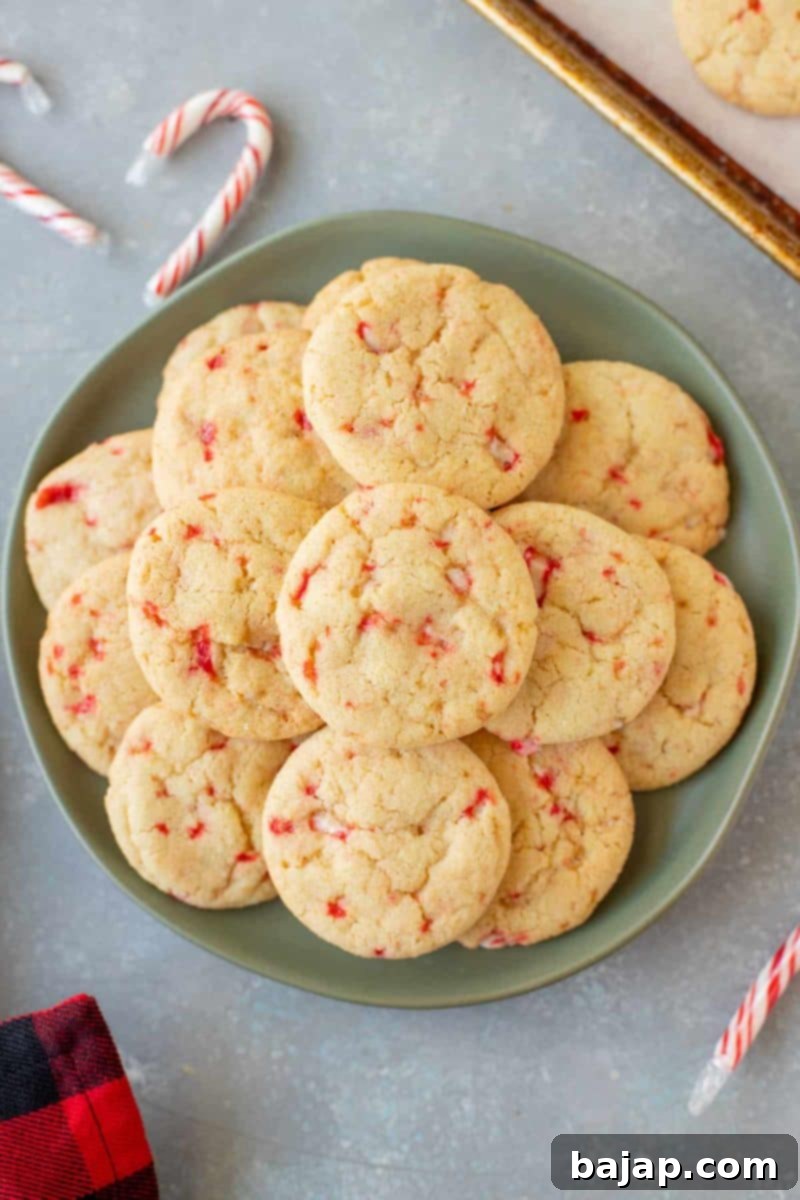 Peppermint Sugar Cookies