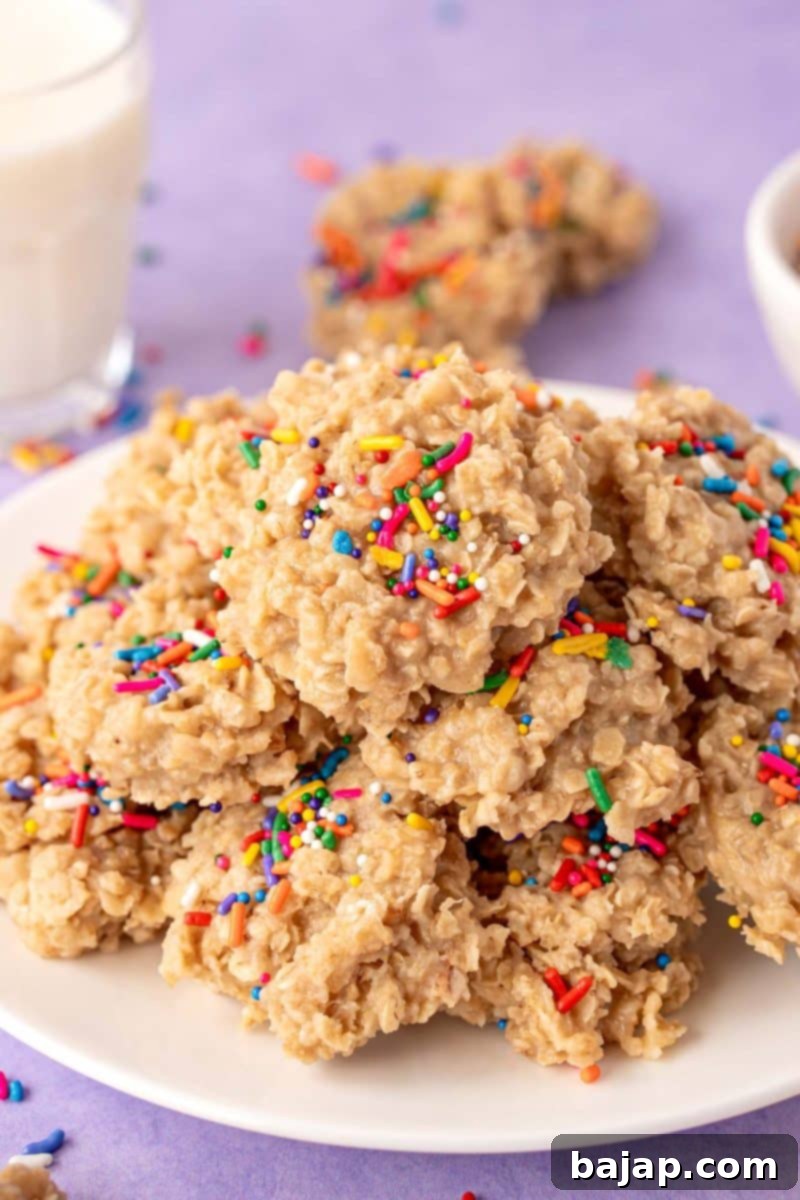 Easy No Bake Sugar Cookies With Oats