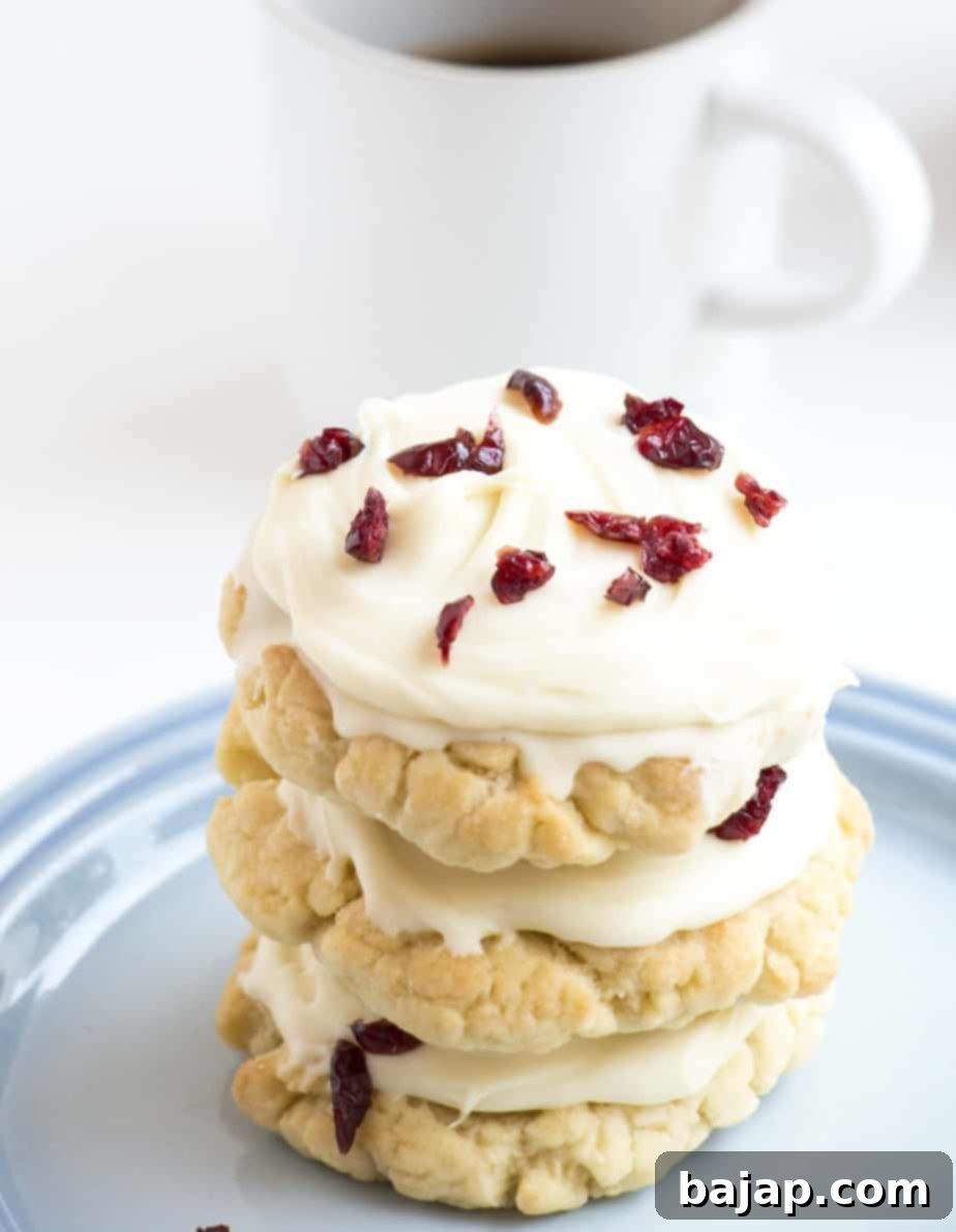 White Chocolate & Cranberry Sugar Cookies