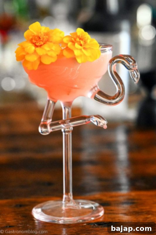 A vibrant pink watermelon gimlet cocktail in a coupe glass, garnished with a lime twist.