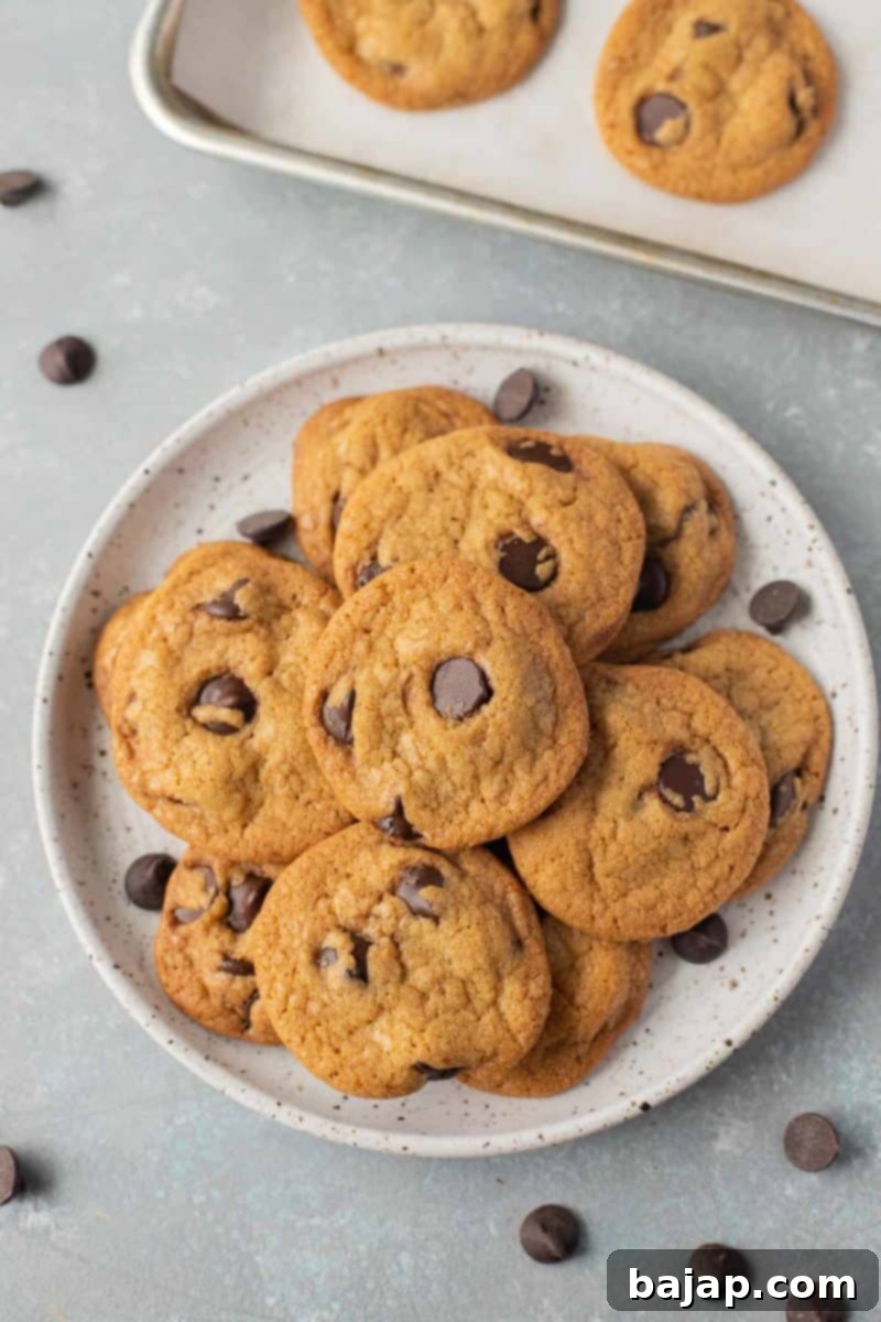 Dive into 50 irresistible chocolate chip cookie recipes! From classic to unique, find your new favorite treat.