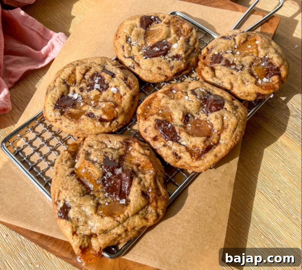 Dive into 50 irresistible chocolate chip cookie recipes! From classic to unique, find your new favorite treat.