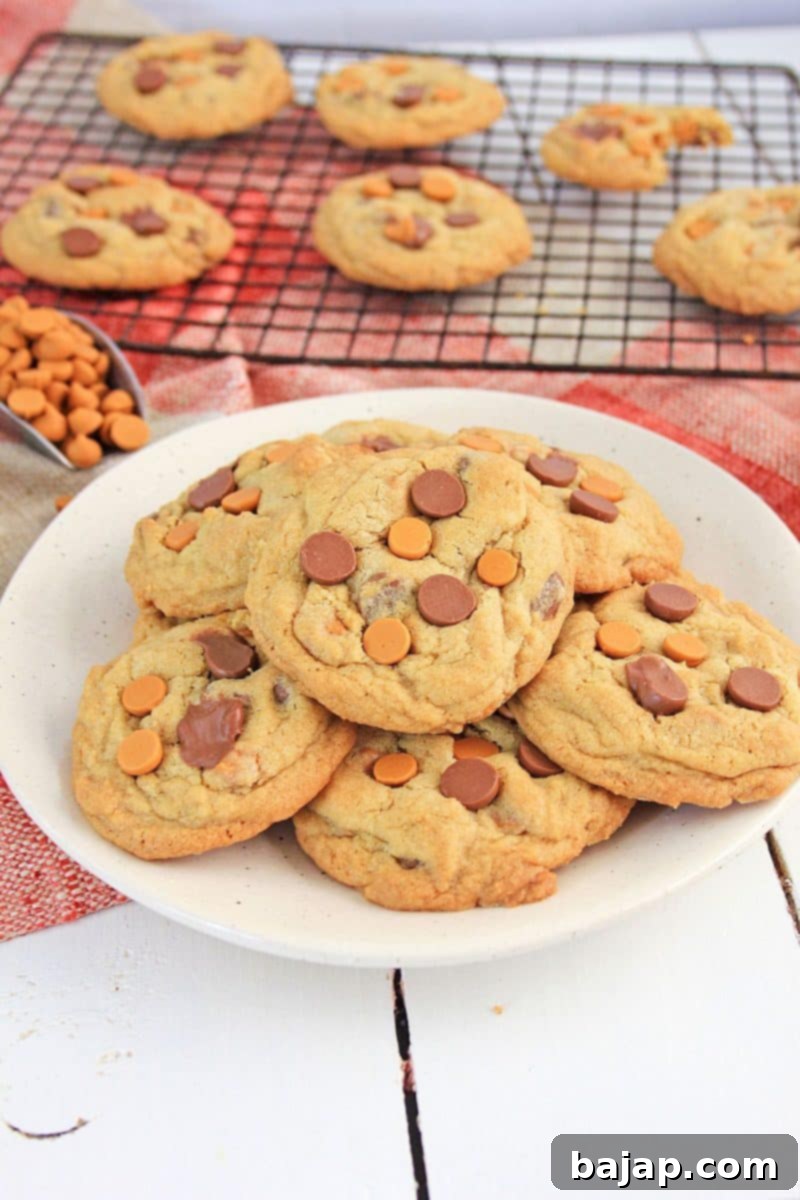 Dive into 50 irresistible chocolate chip cookie recipes! From classic to unique, find your new favorite treat.
