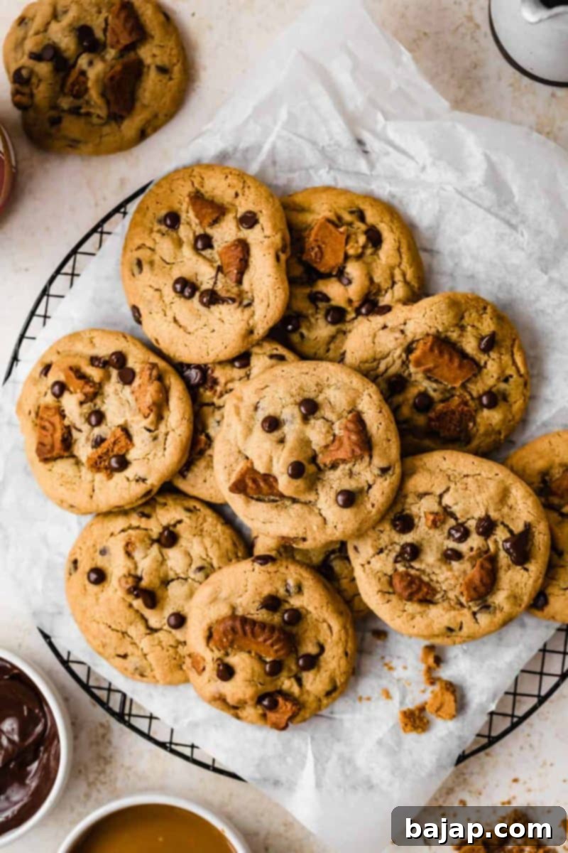 Dive into 50 irresistible chocolate chip cookie recipes! From classic to unique, find your new favorite treat.
