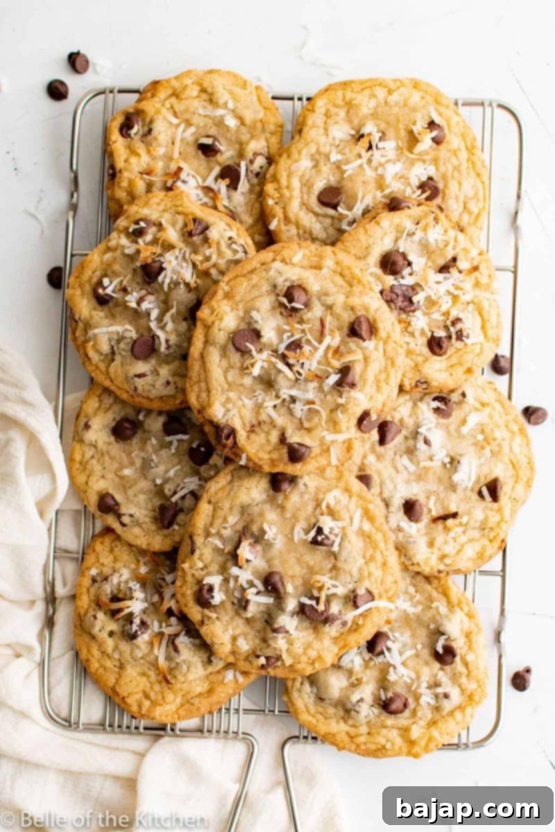 Dive into 50 irresistible chocolate chip cookie recipes! From classic to unique, find your new favorite treat.