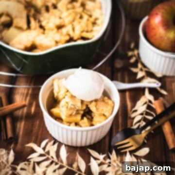 Serving bowl filled with freshly baked apple crisp topped with sour cream ice cream.
