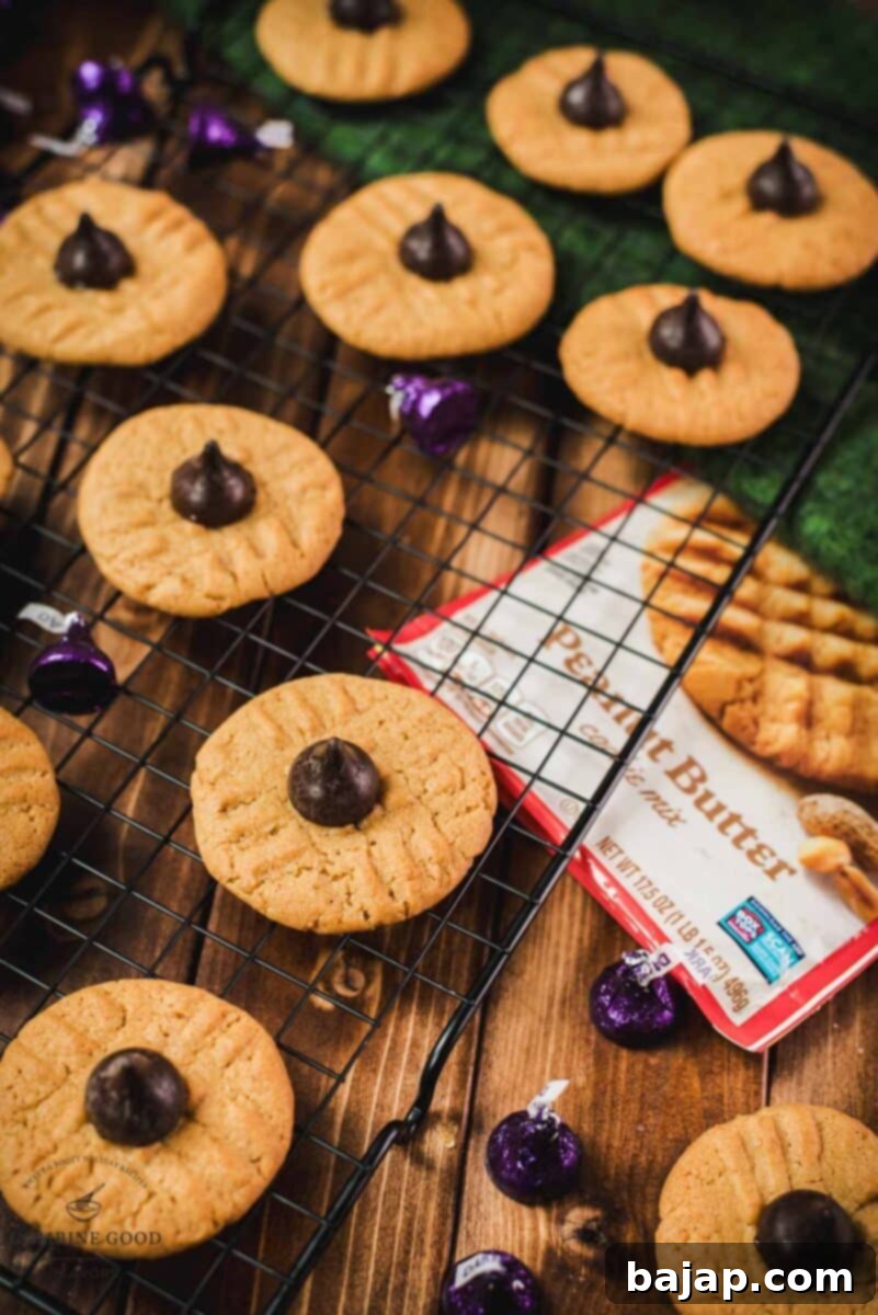 A plate of gorgeous peanut butter blossoms, freshly made with Betty Crocker cookie mix and topped with Hershey's dark chocolate kisses, ready to be enjoyed.