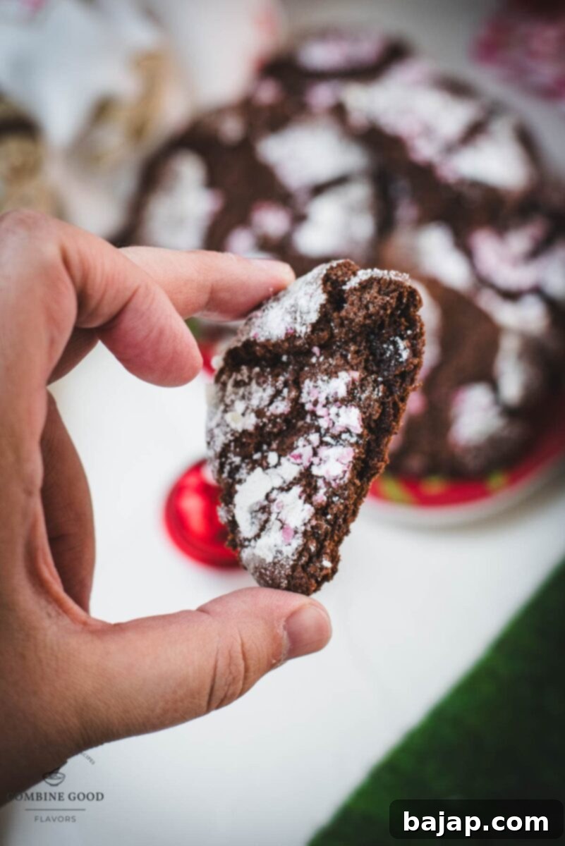 Minty Chocolate Crinkle Delights 18 A hand holding half of a baked chocolate peppermint crinkle cookie, showing its soft, fudgy interior and crisp, crinkled exterior.