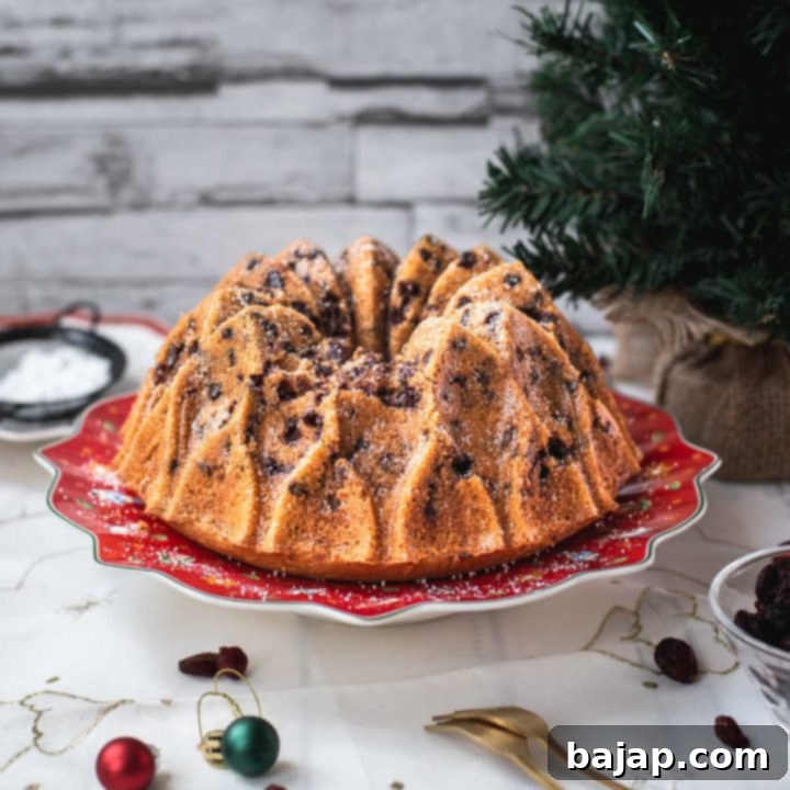 Gorgeous cranberry bundt cake with chocolate chips, cinnamon, and of course dried cranberries. Placed on a red plate.