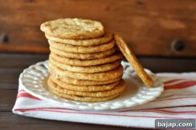 Bring holiday cheer with Christmas cookies from around the world!