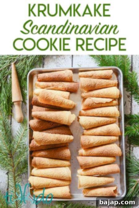 Bring holiday cheer with Christmas cookies from around the world!
