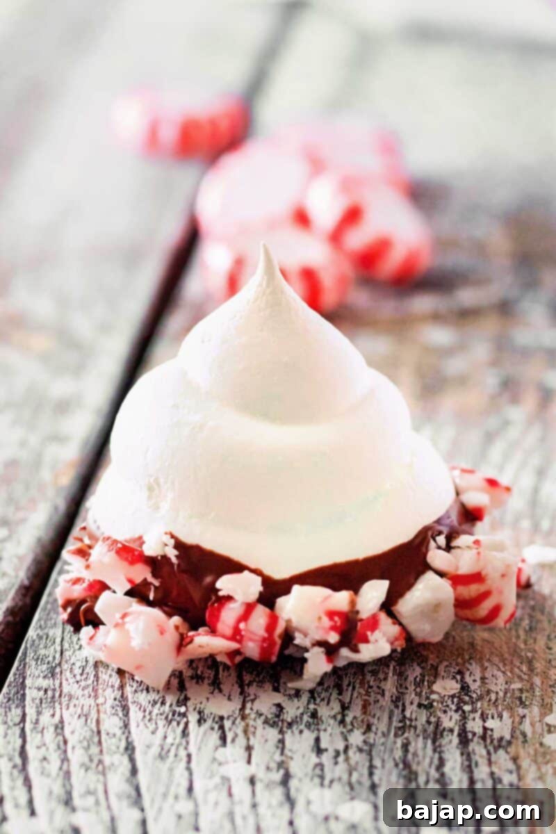 Global Holiday Cookie Tour 30 Peppermint Meringues dipped in chocolate and coated in crushed peppermint candies