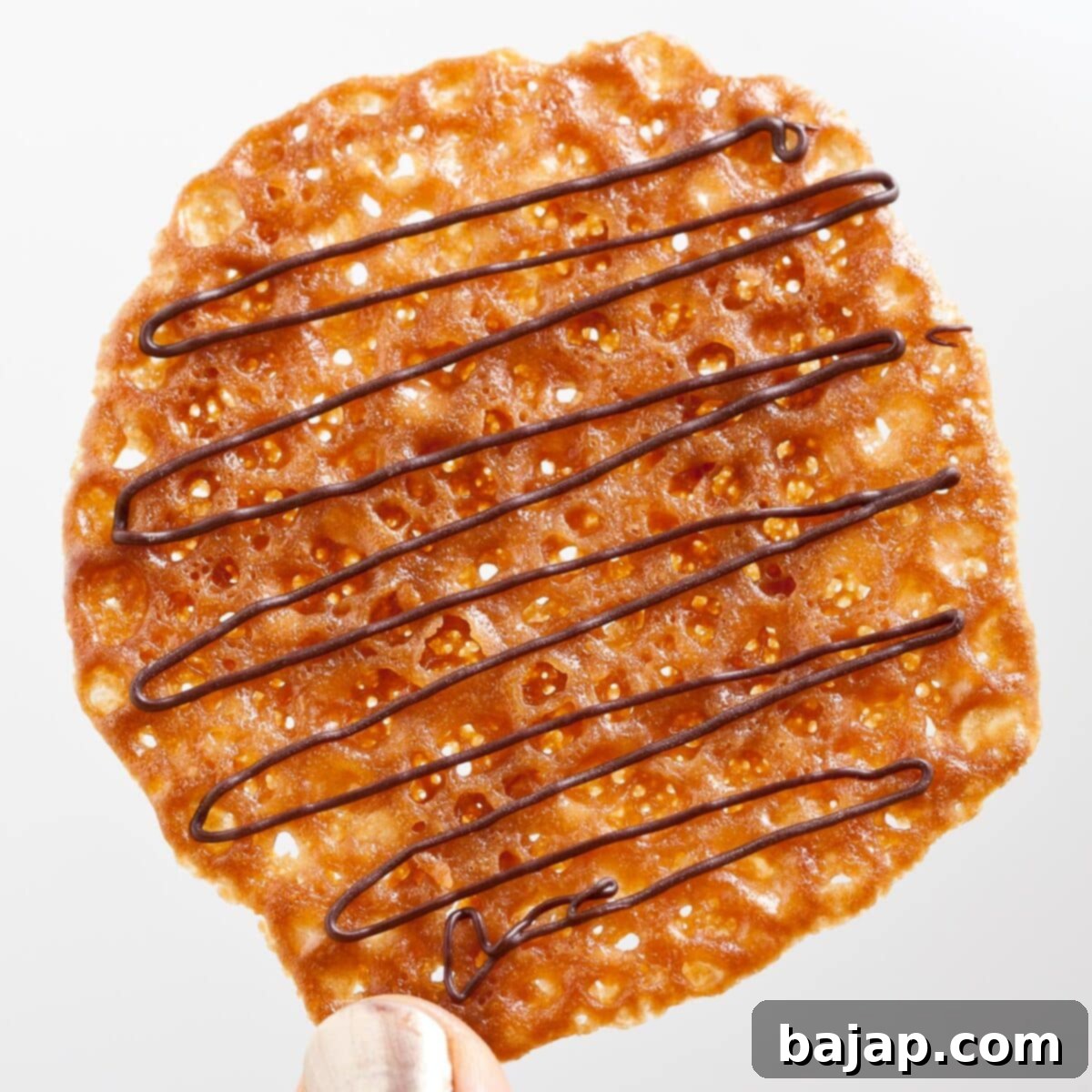 Global Holiday Cookie Tour 36 Orange Chocolate Lace Cookies / Florentines