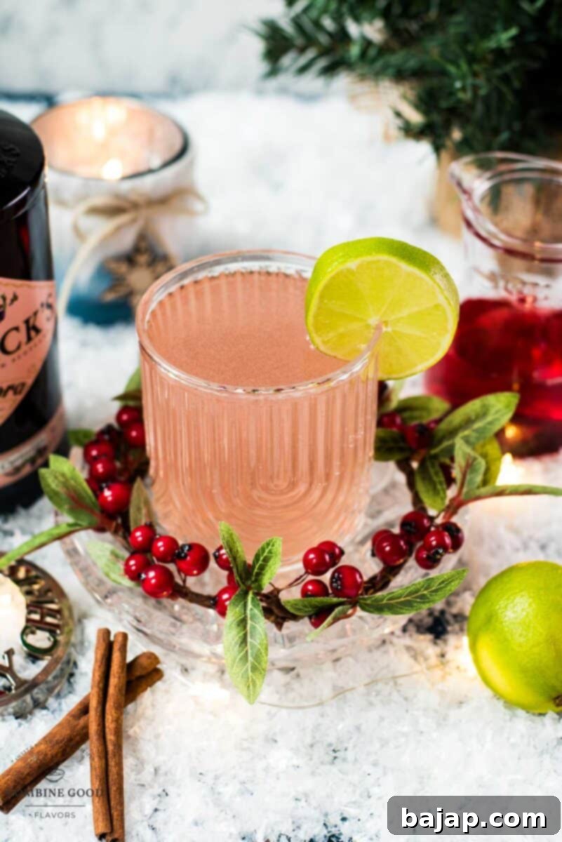 Festive cranberry gin fizz cocktail, garnished with a simple lime slice. Placed on snowy ground next to cinnamon sticks and a bottle of Hendricks Flora Adora Gin.