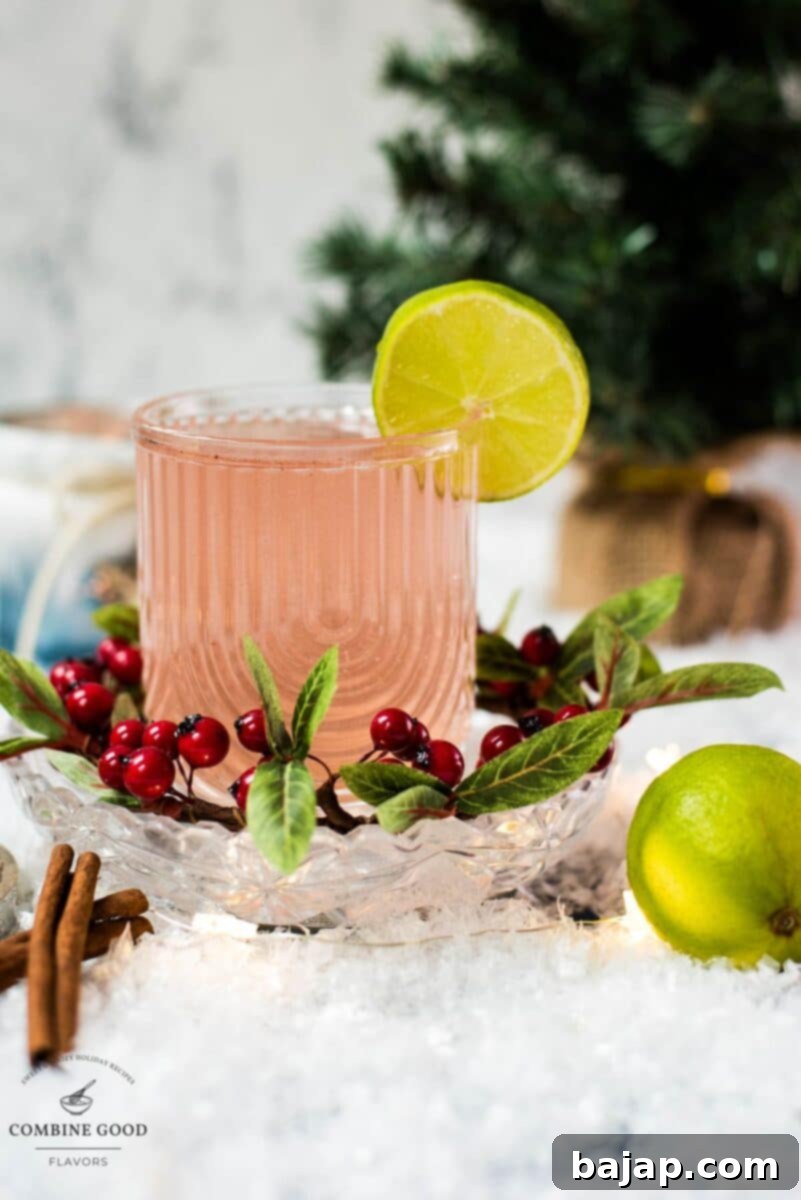 Festive cranberry gin fizz cocktail, garnished with a simple lime slice. Placed on snowy ground next to cinnamon sticks.