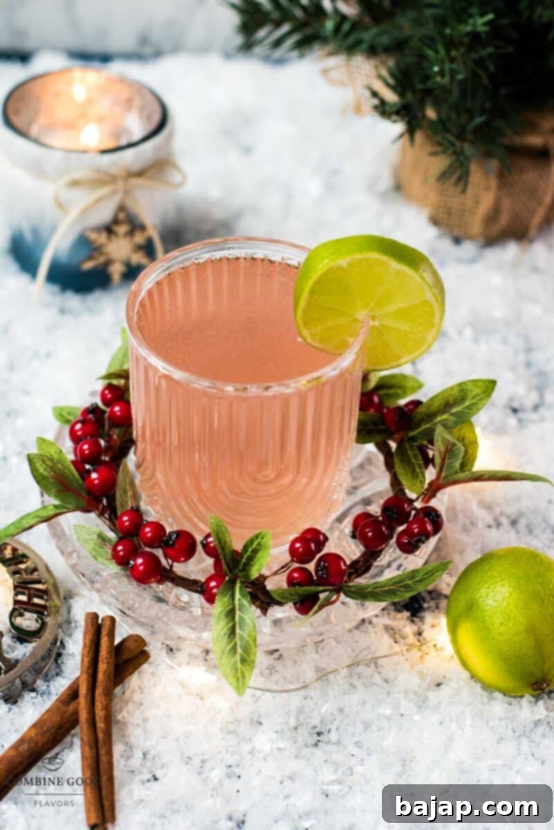 Festive cranberry gin fizz cocktail, garnished with a simple lime slice. Placed on snowy ground next to cinnamon sticks.