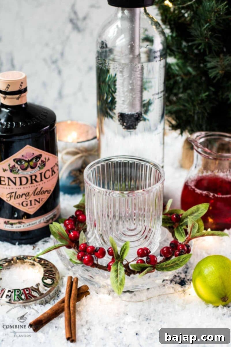 Ingredients cranberry gin fizz - Gin, cranberry juice, lime juice, cinnamon, and sparkling water.