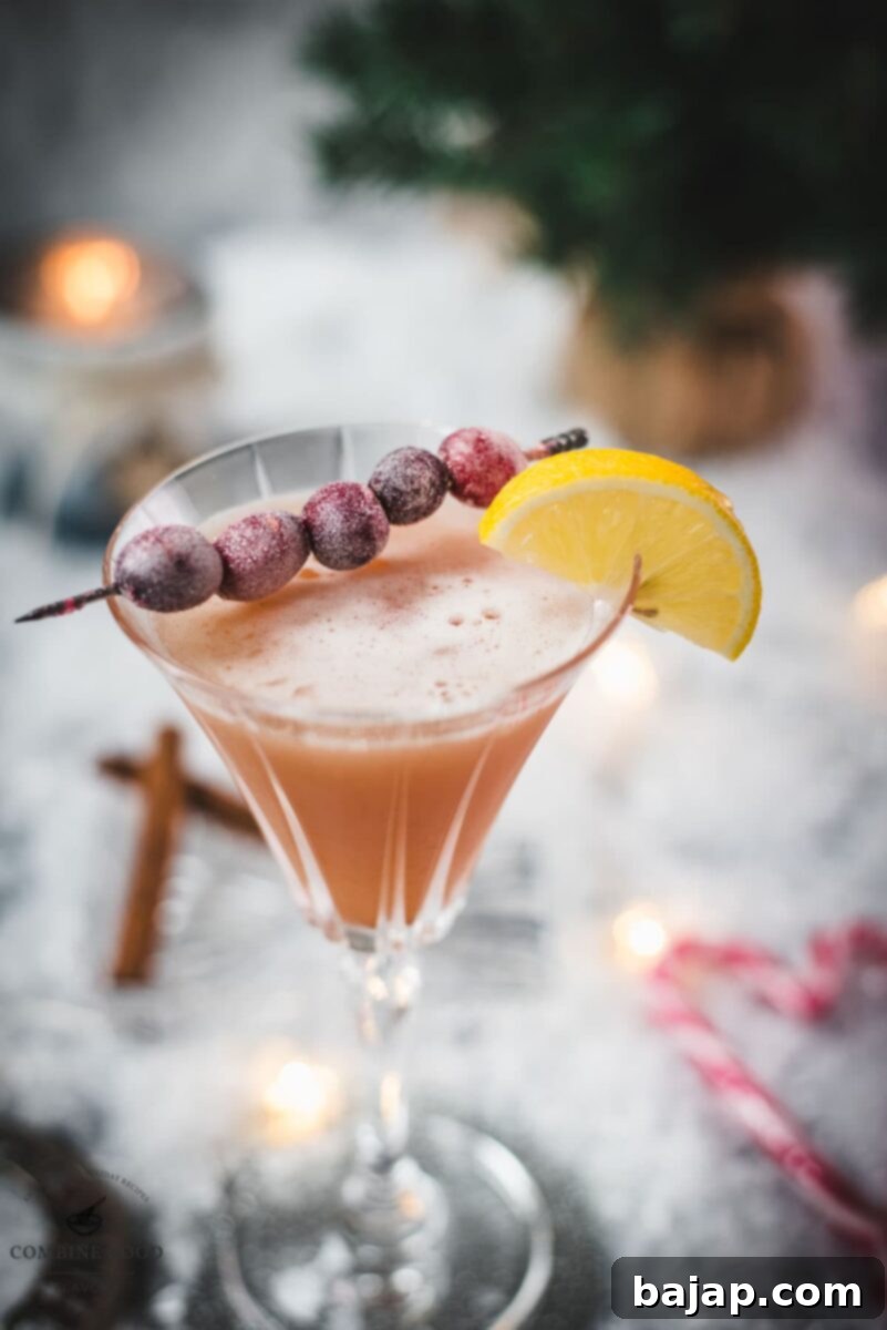 Festive cranberry cinnamon whiskey sour in gorgeous glass, placed on ice ground next to cinnamon sticks and candy canes, with sugared cranberry garnish.